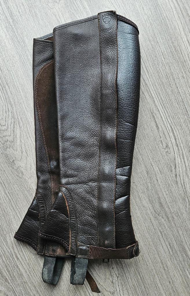 Bruine leren chaps maat M merk Ariat, Dieren en Toebehoren, Paardrijkleding, Ophalen of Verzenden, Gebruikt, Overige soorten, Schoeisel