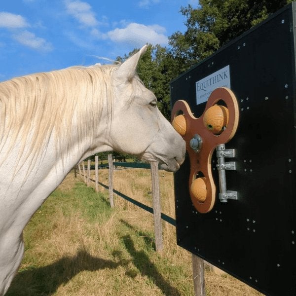 Speelgoed voor paarden - voorkom verveling op stal en wei, Verzenden, Nieuw