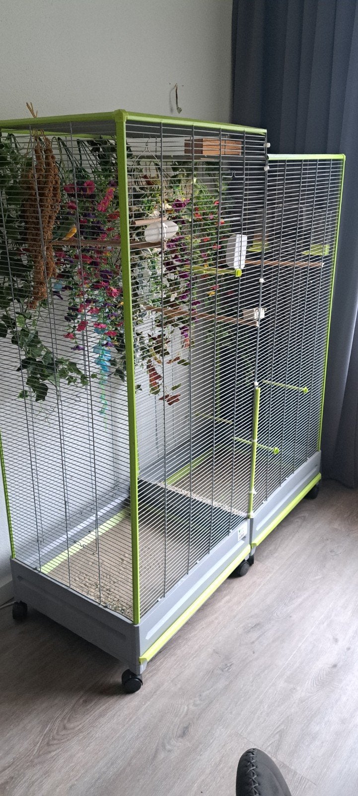 dubbele voltegra binnen volière, Dieren en Toebehoren, Vogels | Hokken en Kooien, Ophalen, Gebruikt, Aluminium, Volière