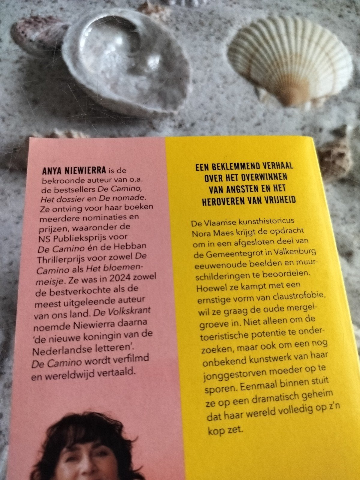 Anya Niewierra - De stilte, Boeken, Ophalen of Verzenden, Gelezen