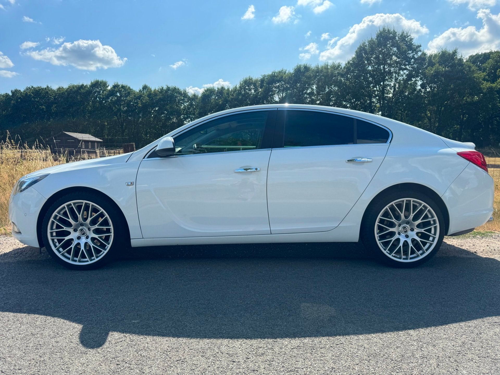Opel Insignia 2.8 T Sport 4x4 260PK navigatie|schuifdak|20in, Euro 5, Zwart, Wit, Bedrijf
