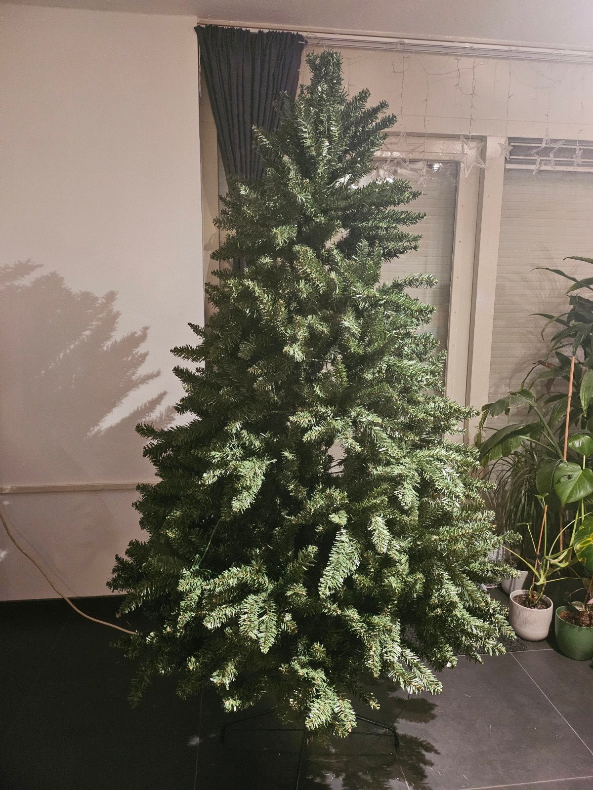 Kerstboom, Ophalen