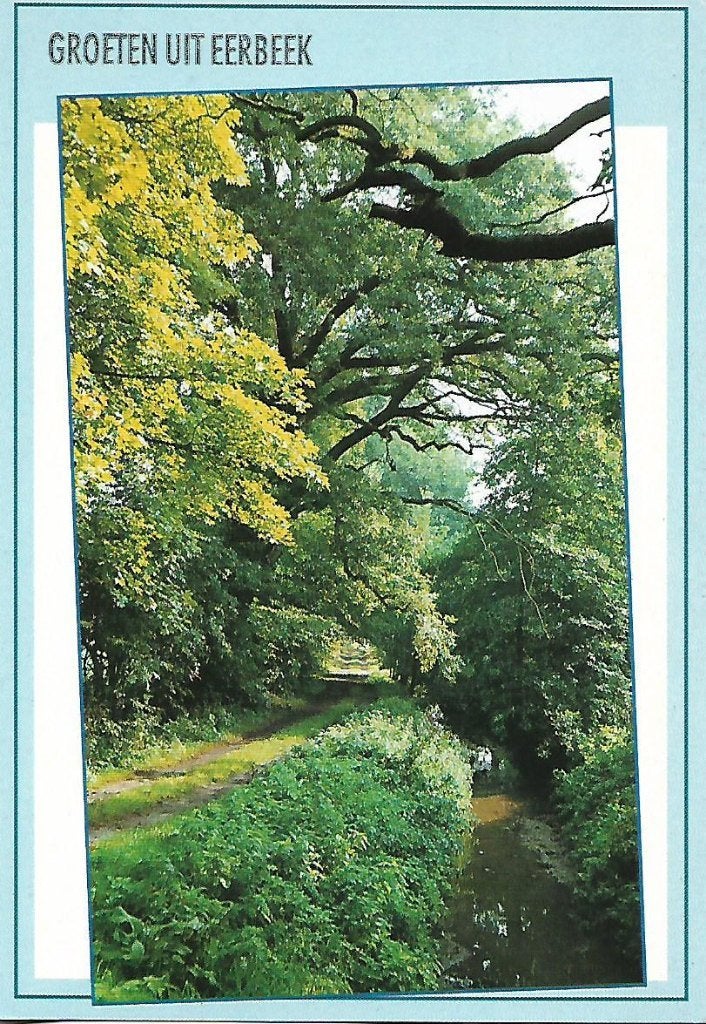 Eerbeek- -Bosgezicht., Verzamelen, Verzenden, 1980 tot heden, Gelopen, Gelderland