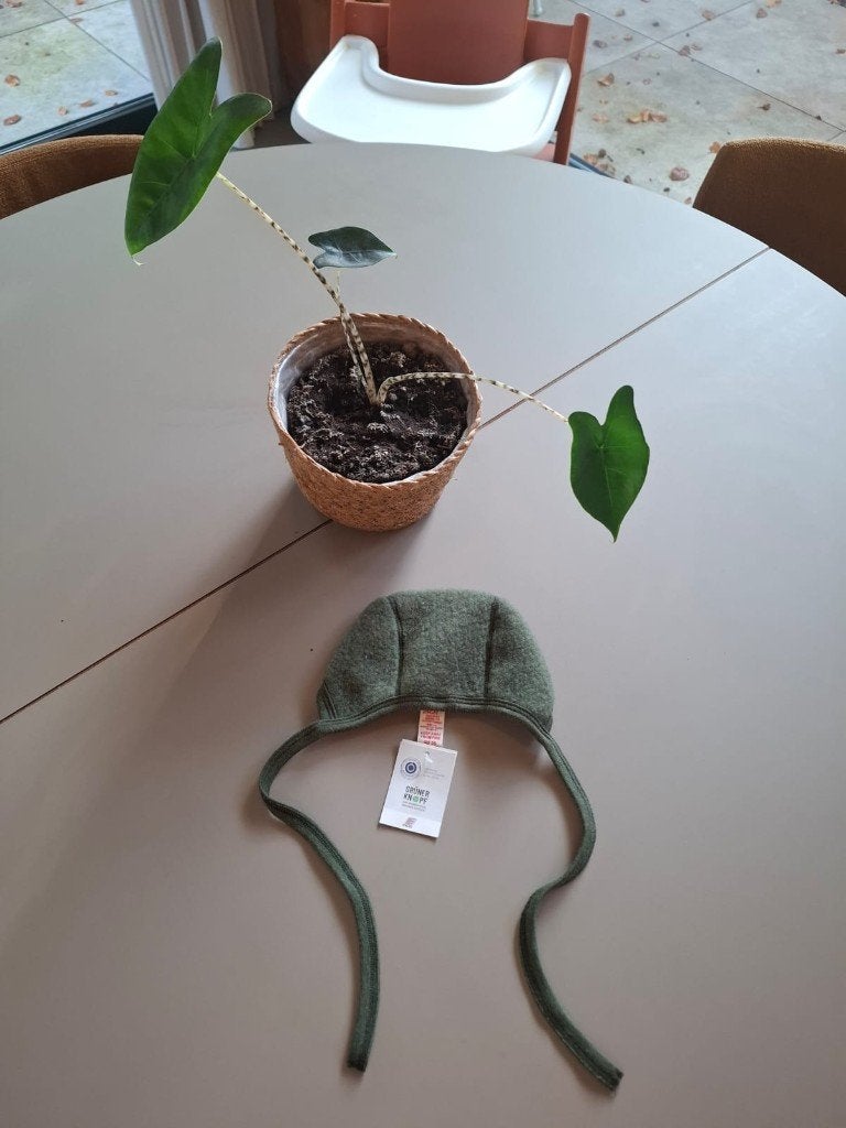 Origineel Engel Natur mutsje, ongebruikt!, Ophalen, Overige typen, Jongetje of Meisje, Engel