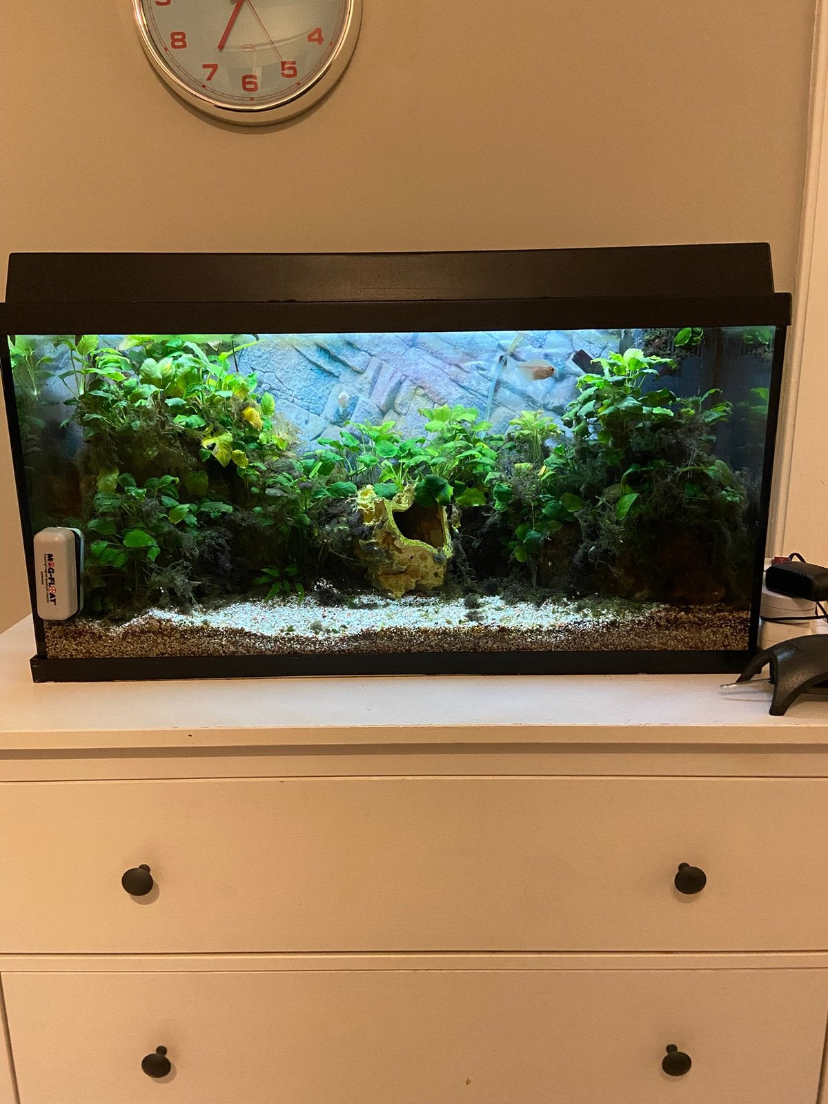 Juwel 80cm Aquarium 125L Compleet + Kast + Vissen + extra’s, Ophalen, Zo goed als nieuw, Gevuld zoetwateraquarium, Juwel