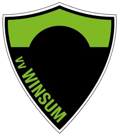 mooie nieuwe clubspeld van vv winsum, Verzenden, Nieuw, Sport, Speldje of Pin
