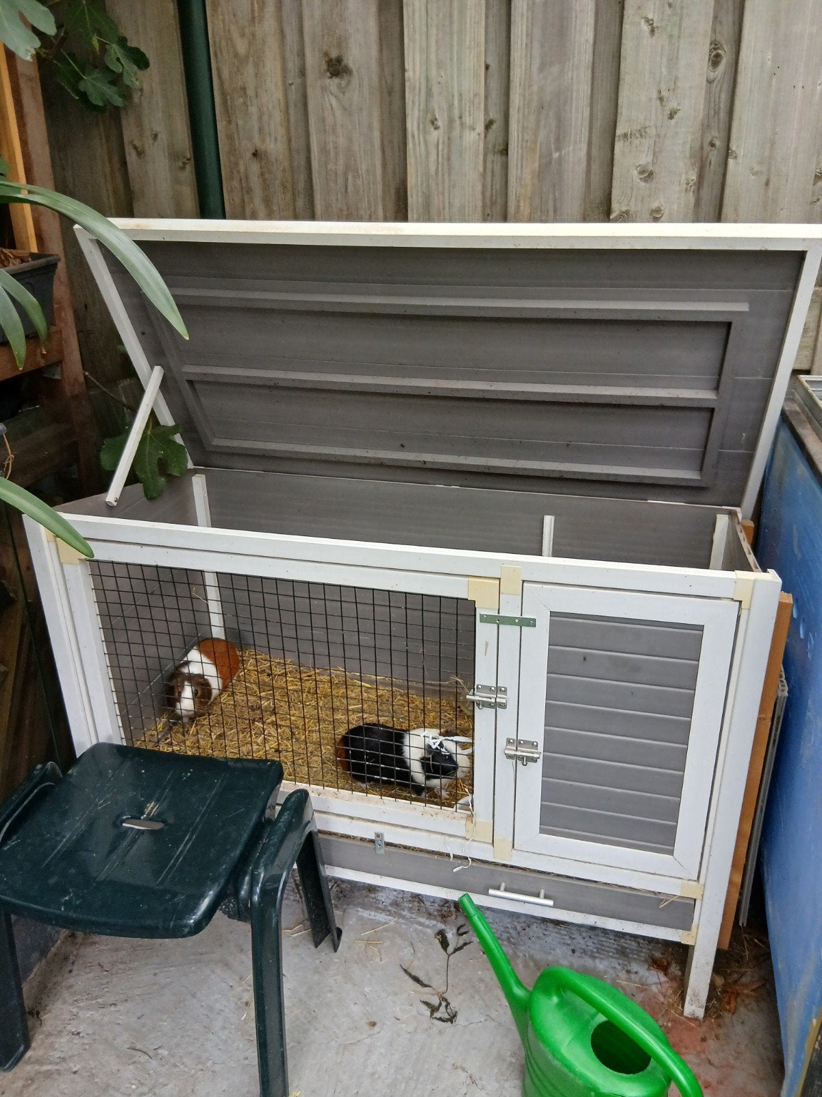 gratis, Ophalen of Verzenden, Kooi, Minder dan 60 cm