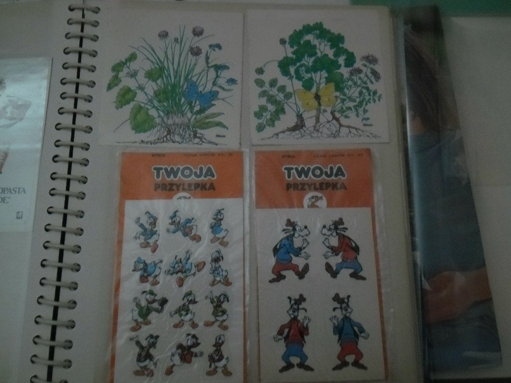 Vintage Disney Donald Duck en Goofy Stickers, Ophalen of Verzenden, Nieuw, Strip of Tekenfilm