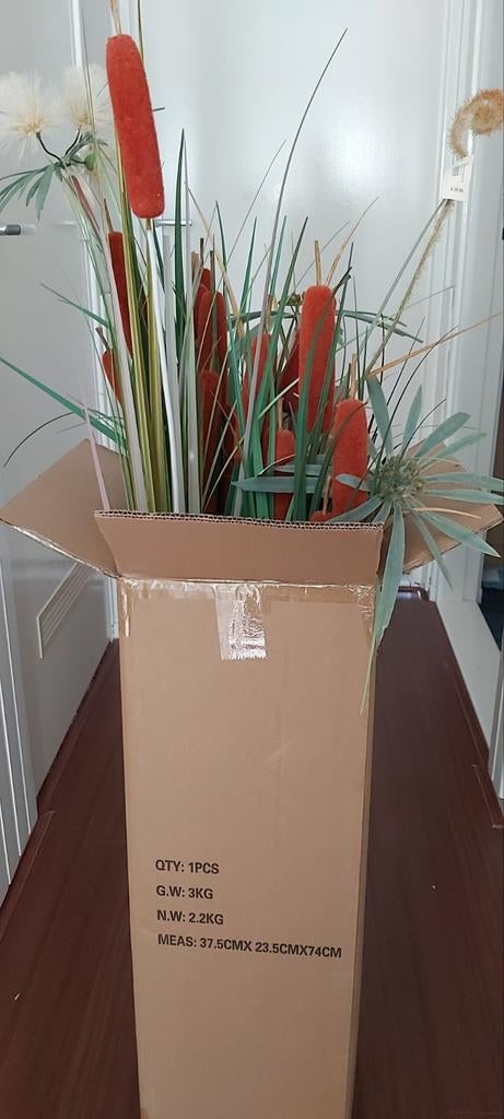 Kunstplant siergrassen pampas nieuw van Intratuin zijdebloe, Ophalen, Nieuw