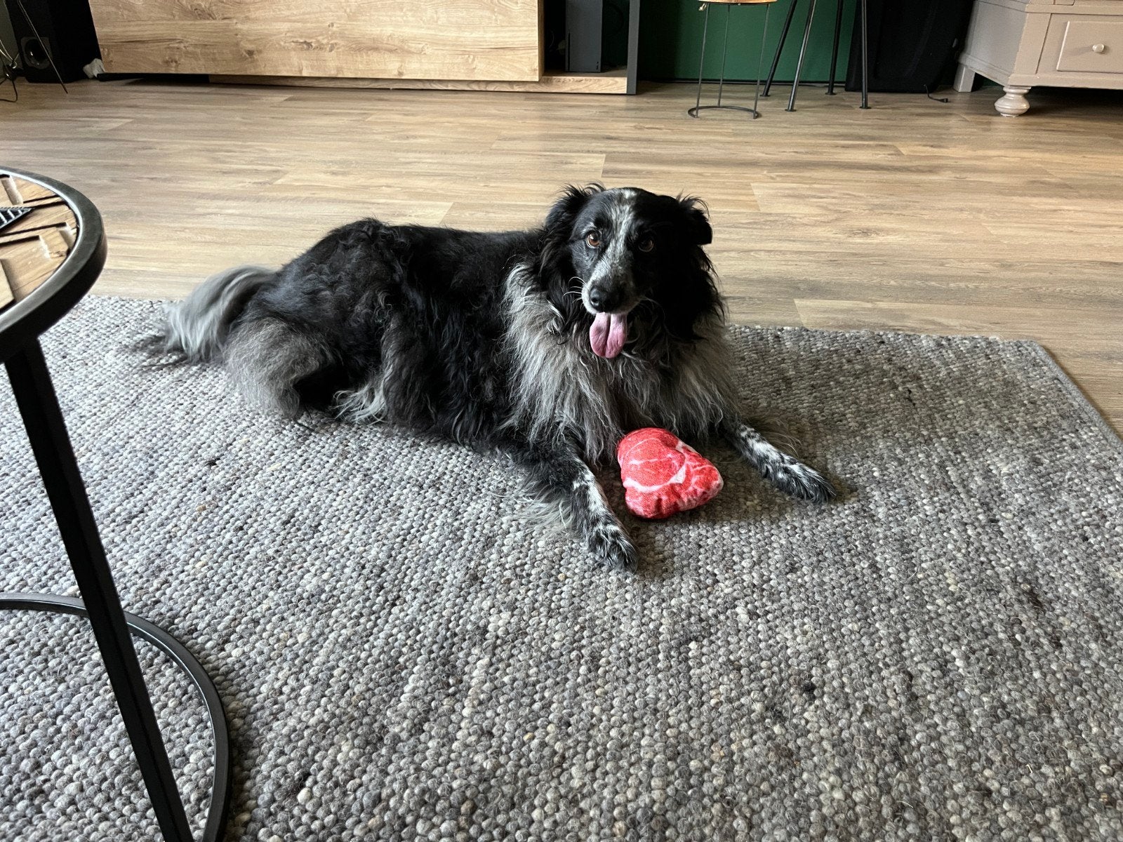 Lieve Hond zoek nieuw thuis ivm Overlijden, 6 jaar of ouder, Teef, Parvo, Eén hond