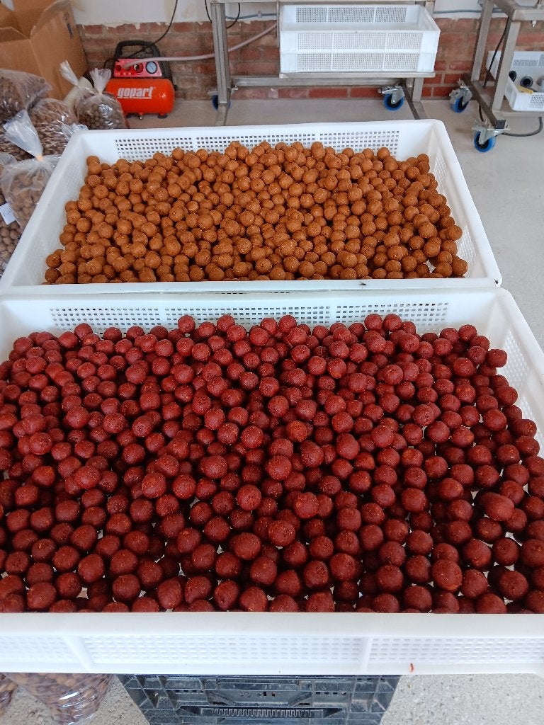 premium boilies lees omschrijving 16 , 20 , 24 mm, Ophalen of Verzenden, Nieuw, Overige typen