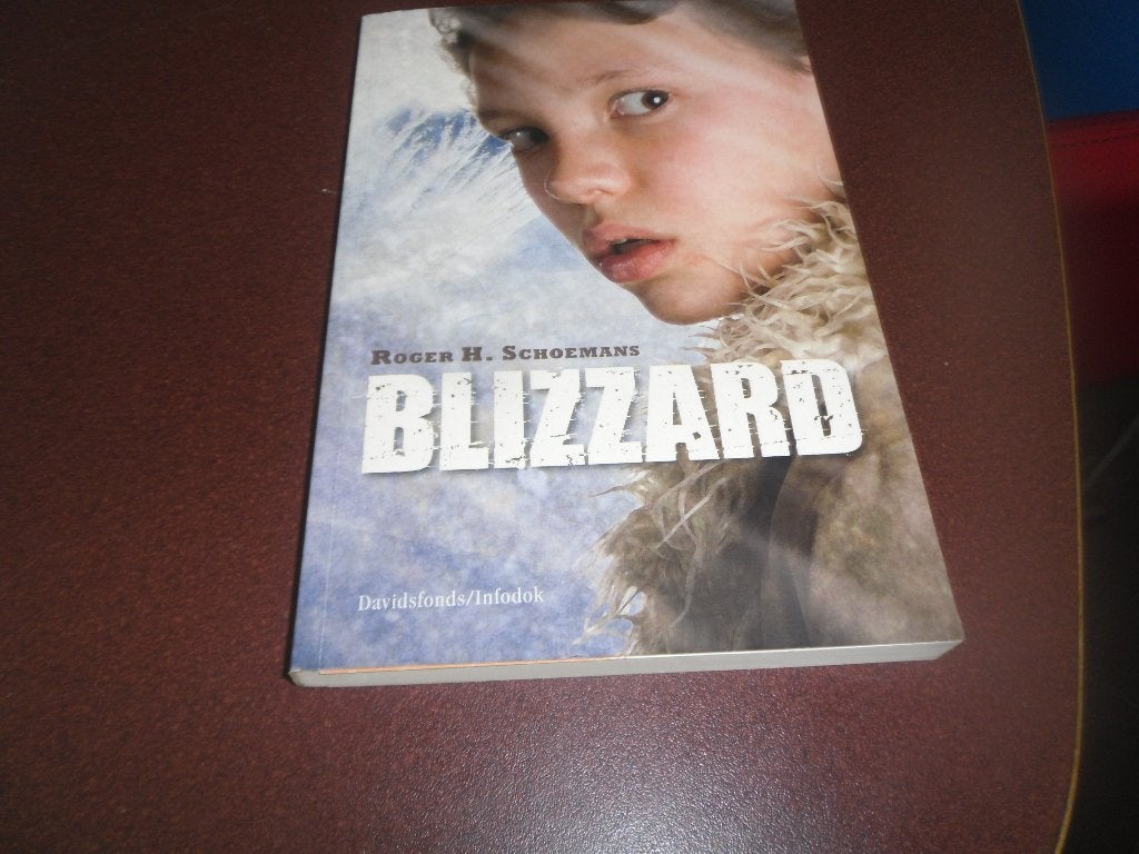 blizzard, roger h schoemans, Ophalen of Verzenden, Zo goed als nieuw