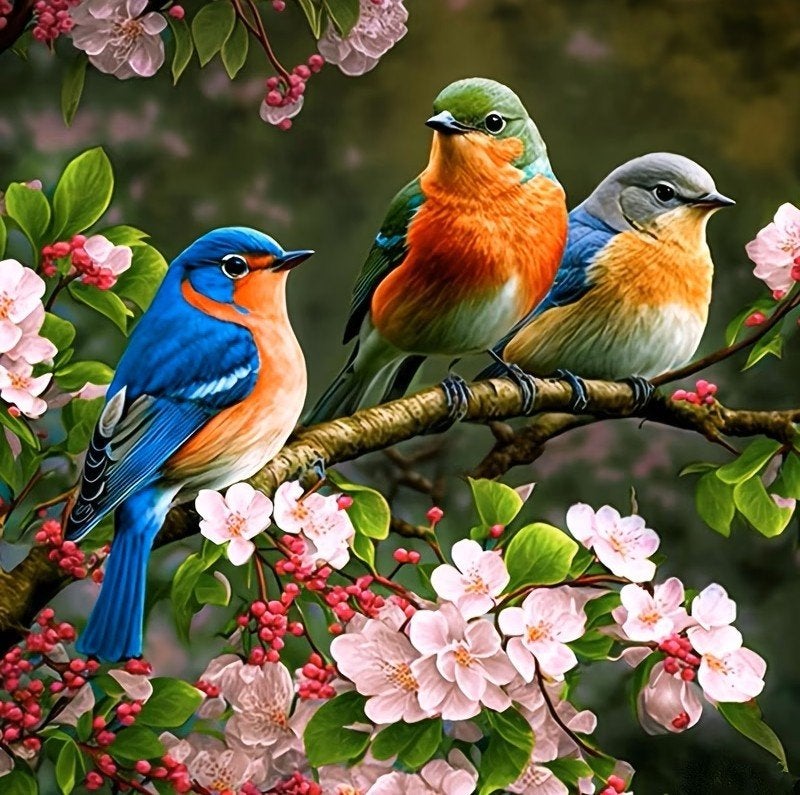 30x30cm Diamond Painting vogels op tak nr 333, Verzenden, Nieuw, Meerkleurig, Overige materialen