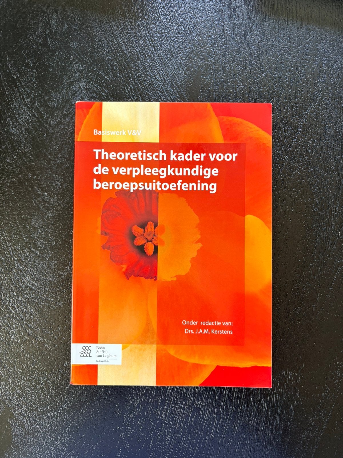 Boek Theoretisch kader voor de vpk beroepsuitoefening, Boeken, Ophalen of Verzenden, Beta, Zo goed als nieuw, HBO
