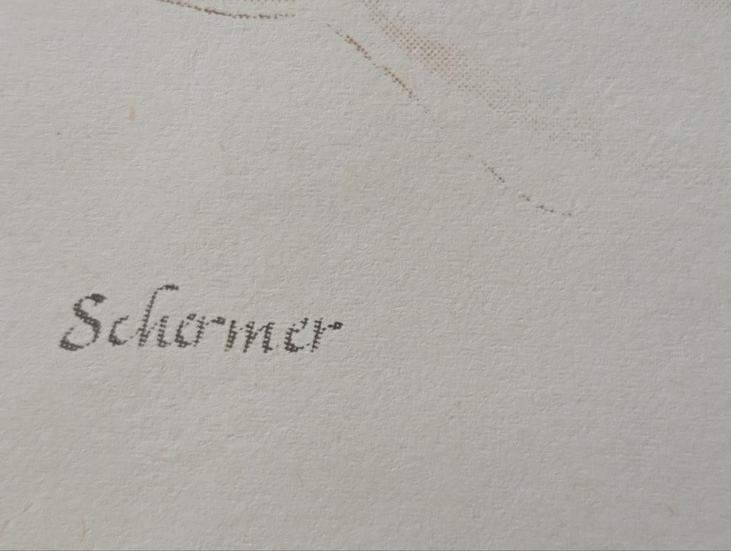 Schermer print, Ophalen of Verzenden