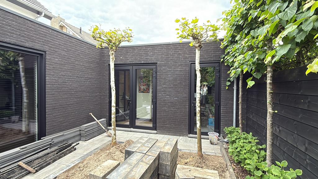 1x Dakplataan stam omtrek 28 cm, Ophalen of Verzenden, Bloeit niet, Volle zon, Overige soorten