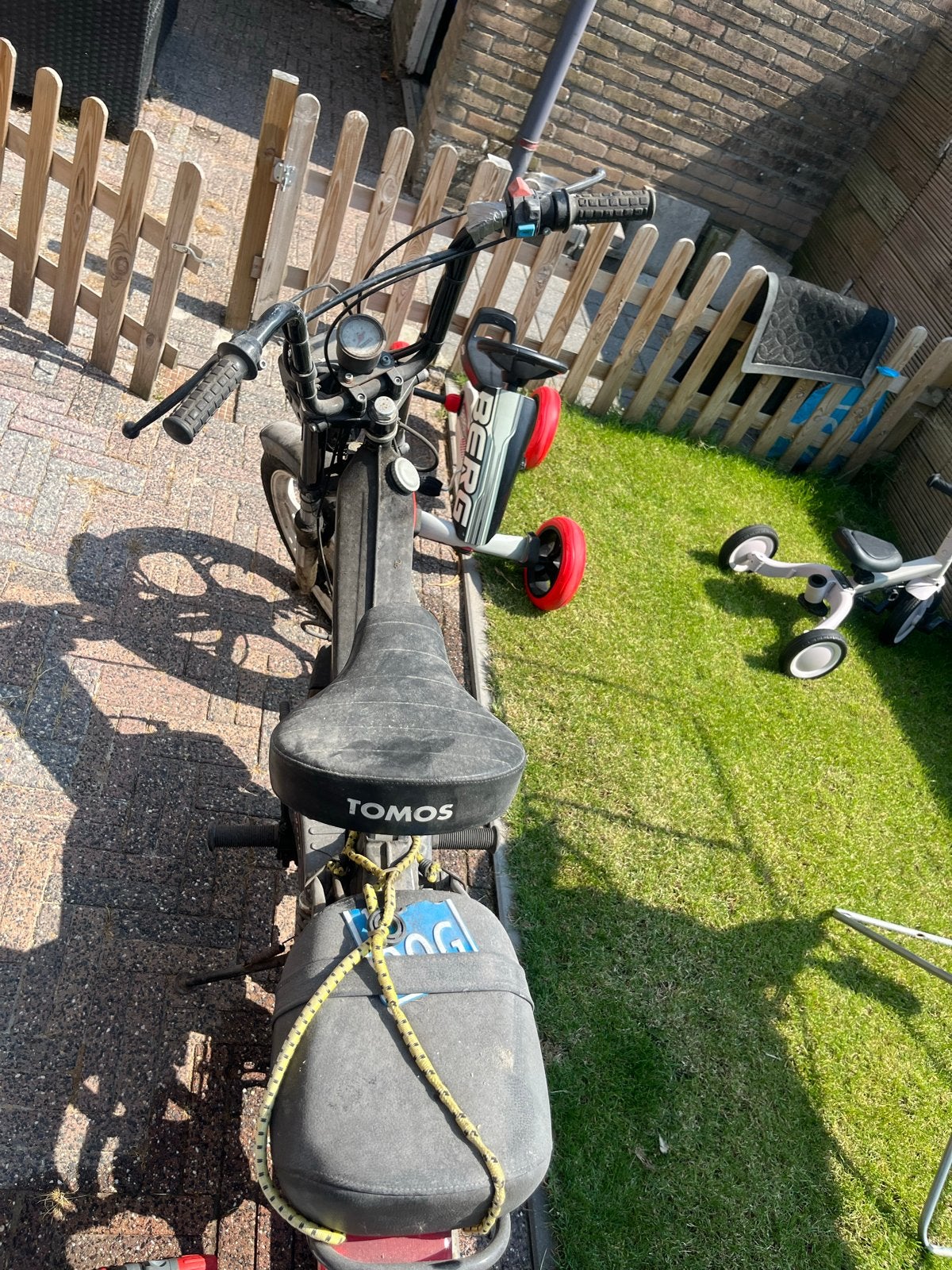 Tomos Standard Snorfiets - Goed onderhouden, Fietsen en Brommers, Ophalen, Gebruikt, Maximaal 25 km/u, Standard