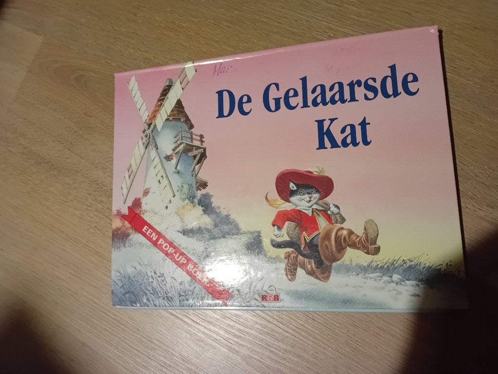 GELAARSDE KAT kinderboek, Ophalen of Verzenden, Gelezen, Sprookjes