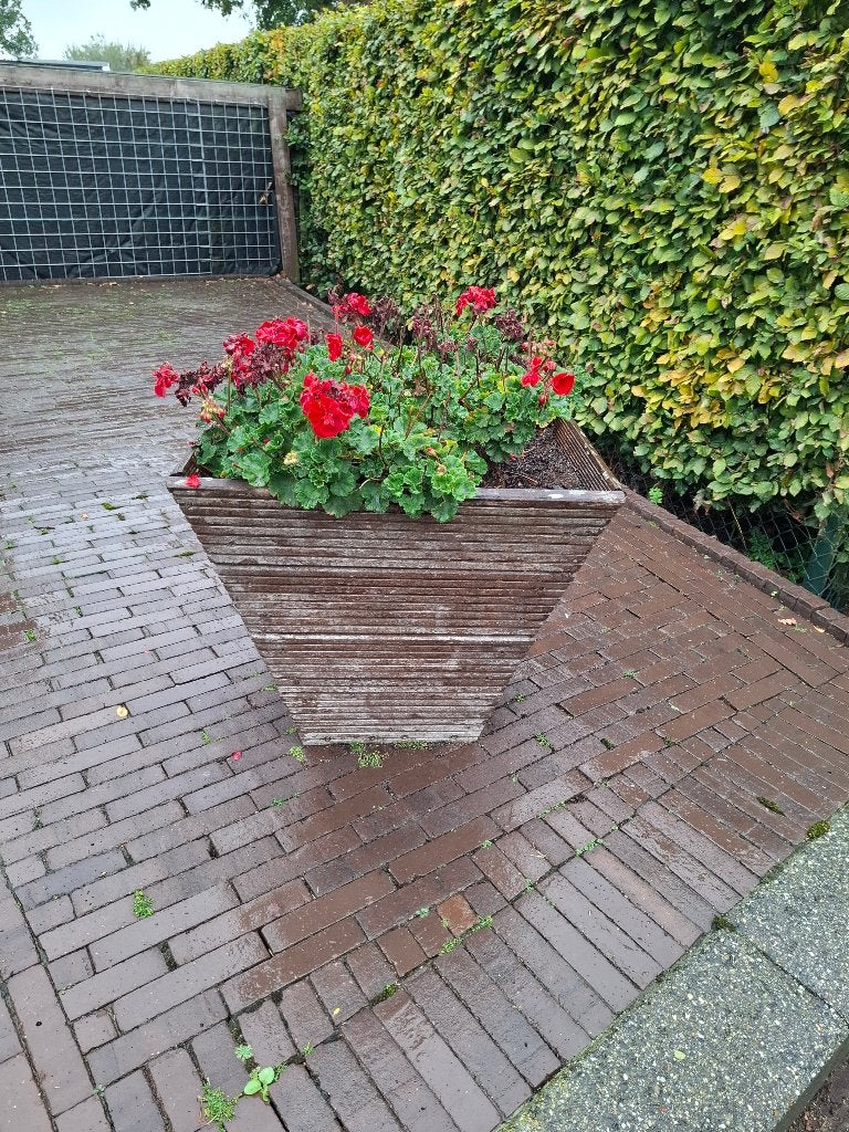 Plantenbakken, Tuin en Terras, Ophalen, Gebruikt, Vierkant, 60 tot 100 cm
