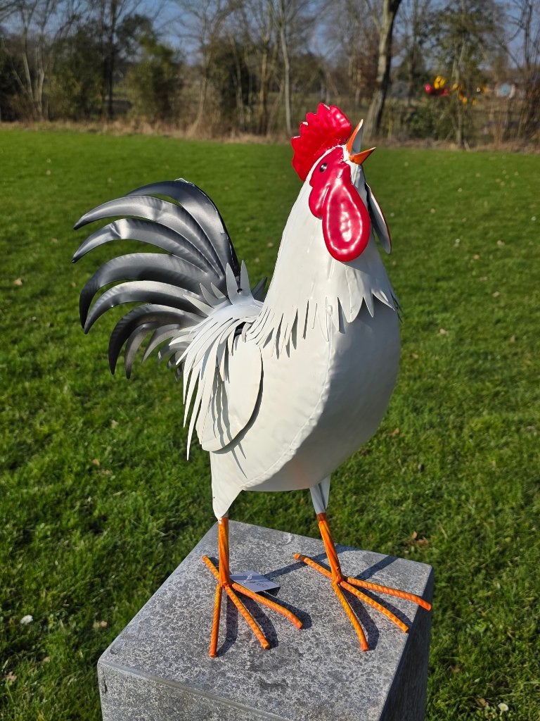 Haan /Hen / metaal / kippen / NIEUW, Dierenbeeld, Nieuw, Metaal, Info@huisentuindecoratiemarie.nl