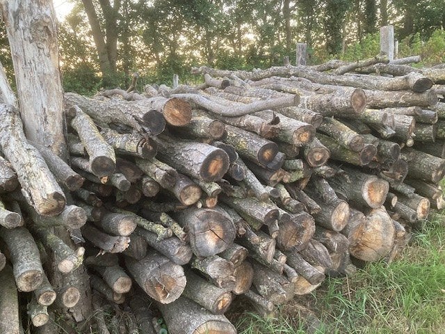 SCHOON KACHELHOUT TE KOOP, 6 m³ of meer, Ophalen, Eikenhout, Stammen