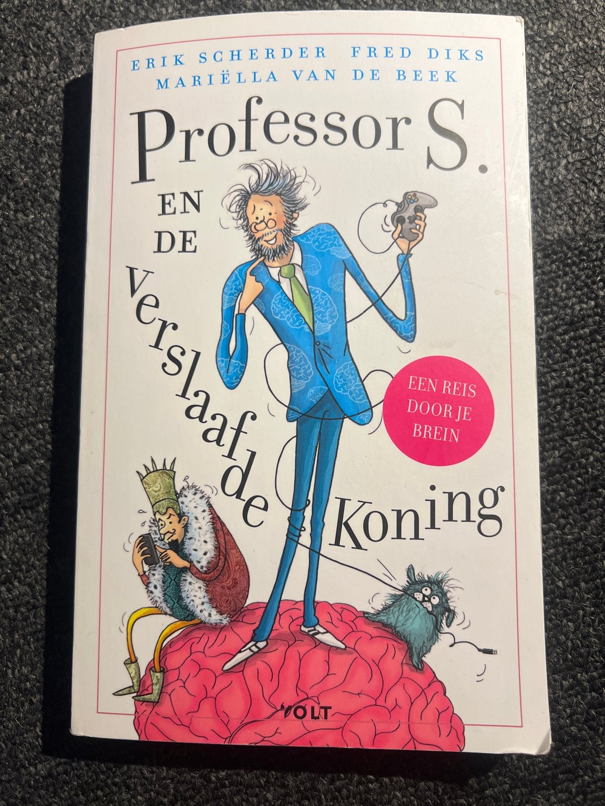 Professor S. en de Verslaafde Koning - Erik Scherder, Ophalen, Zo goed als nieuw, Overige wetenschappen
