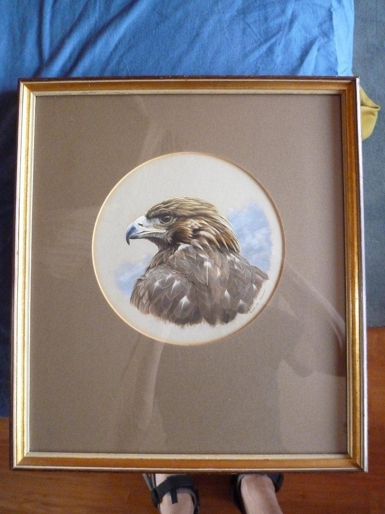 Schilderij Steenarend van Alan M Hunt, Ophalen, Gouache, Realistisch, Overige ondergronden