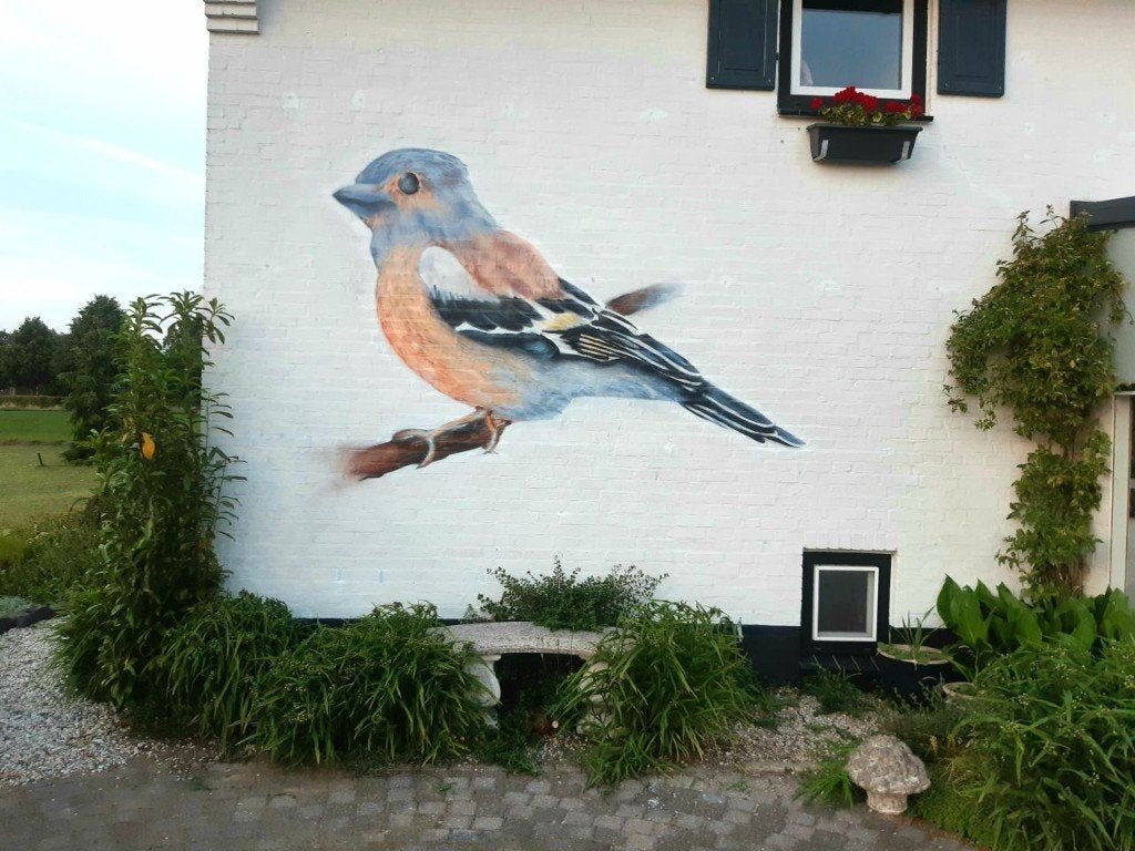 Muurschildering & Graffiti costom murals wall art, Antiek en Kunst, Kunst | Overige Kunst, Ophalen of Verzenden