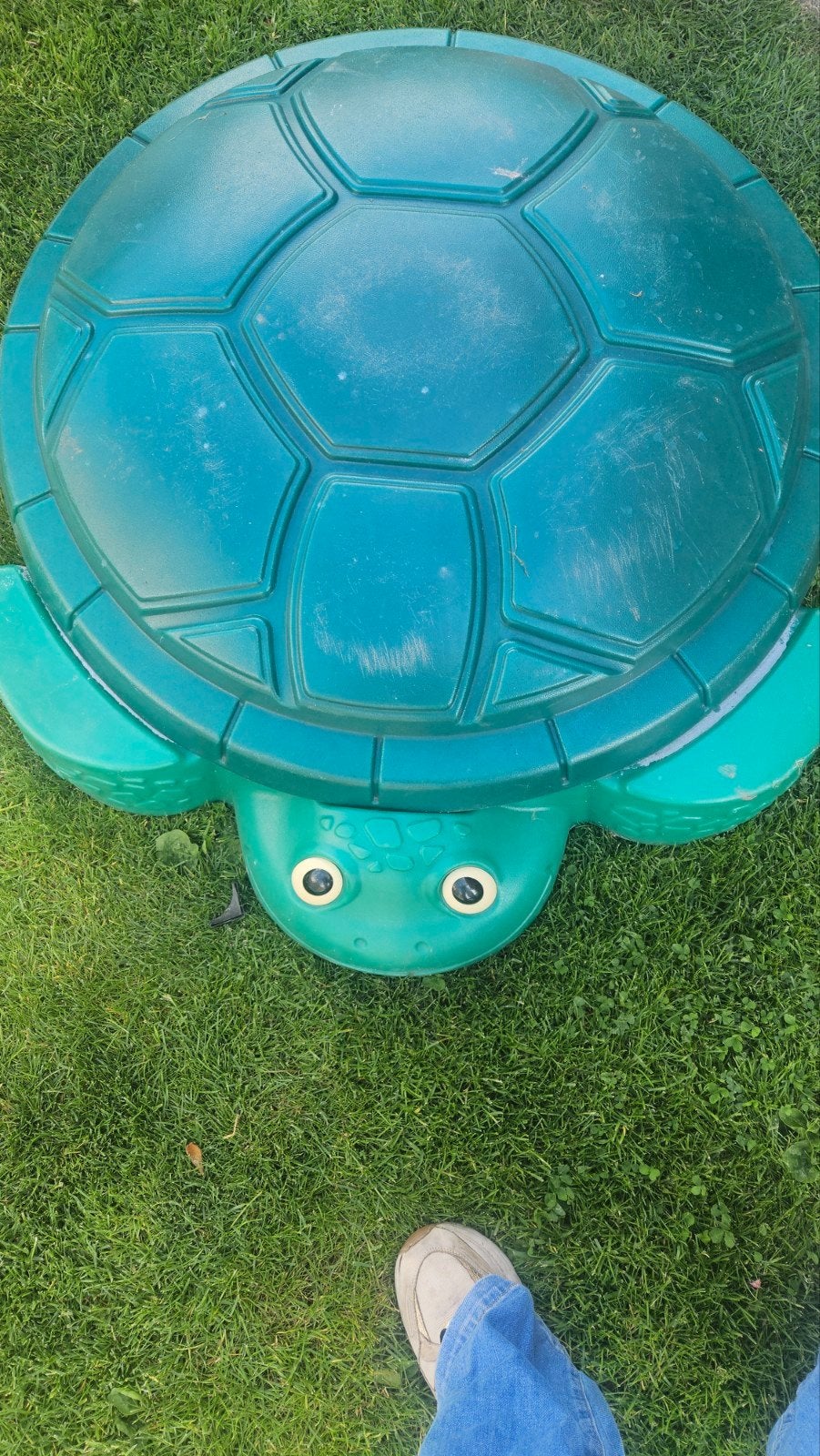 Little Tikes Schildpad Zandbak met Deksel, Kinderen en Baby's, Speelgoed | Buiten | Zandbakken, Ophalen
