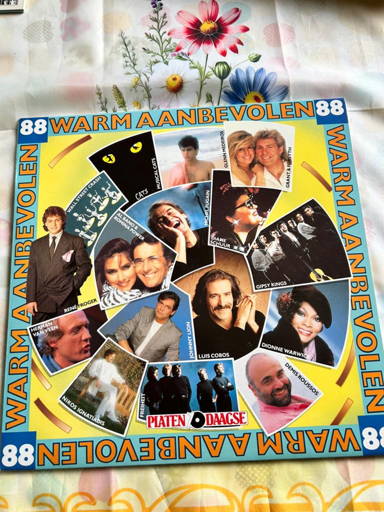 Warm Aanbevolen 88, Ophalen of Verzenden, Gebruikt, 12 inch