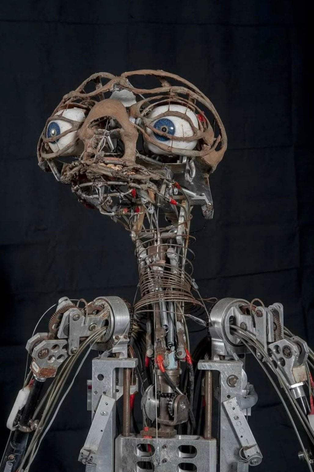 Gezocht animatronics, Ophalen, Gebruikt, Pop