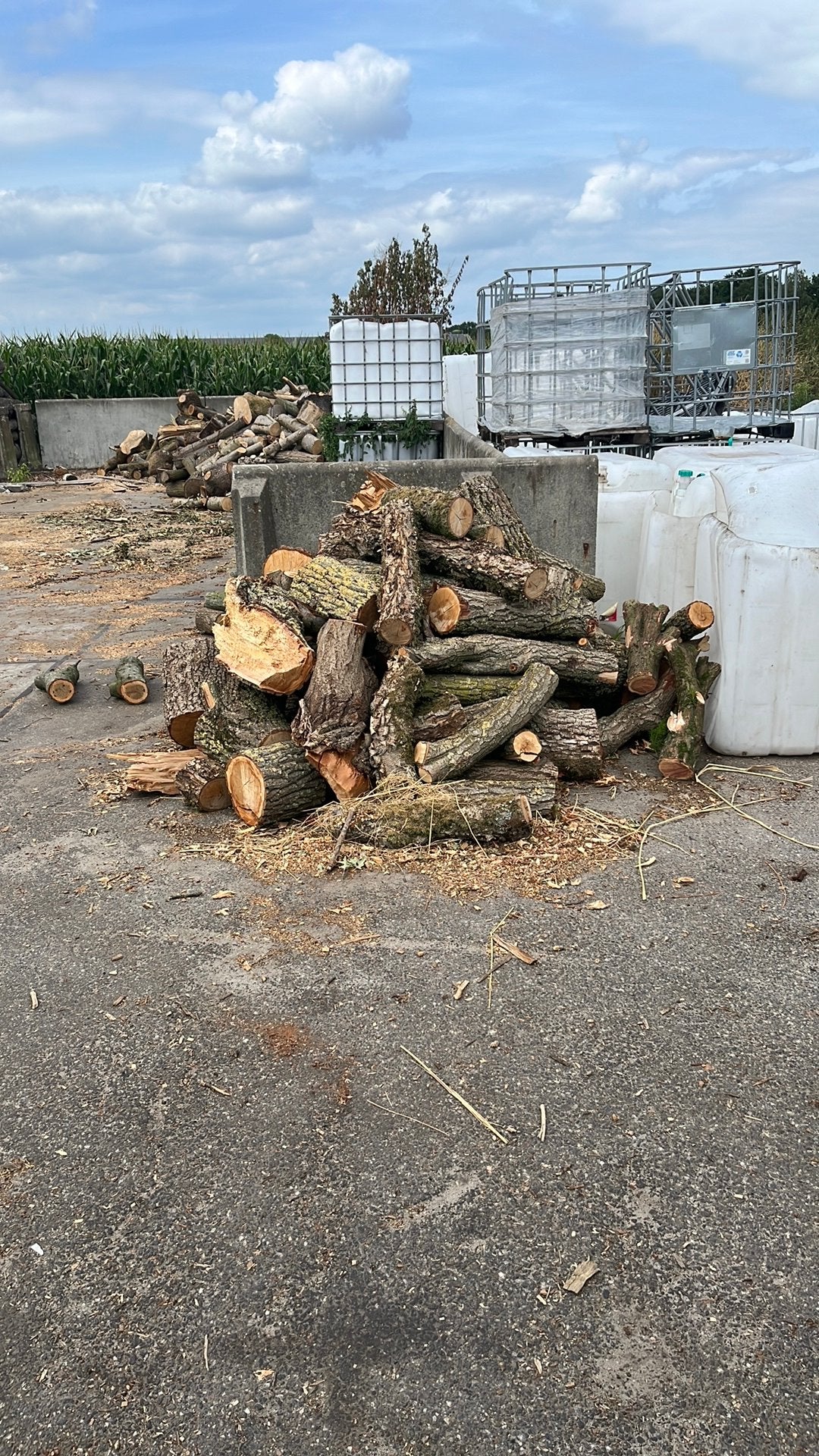 Berken en wilgen stammetjes 1,5/2 kuub, Tuin en Terras, Haardhout, Minder dan 3 m³, Ophalen