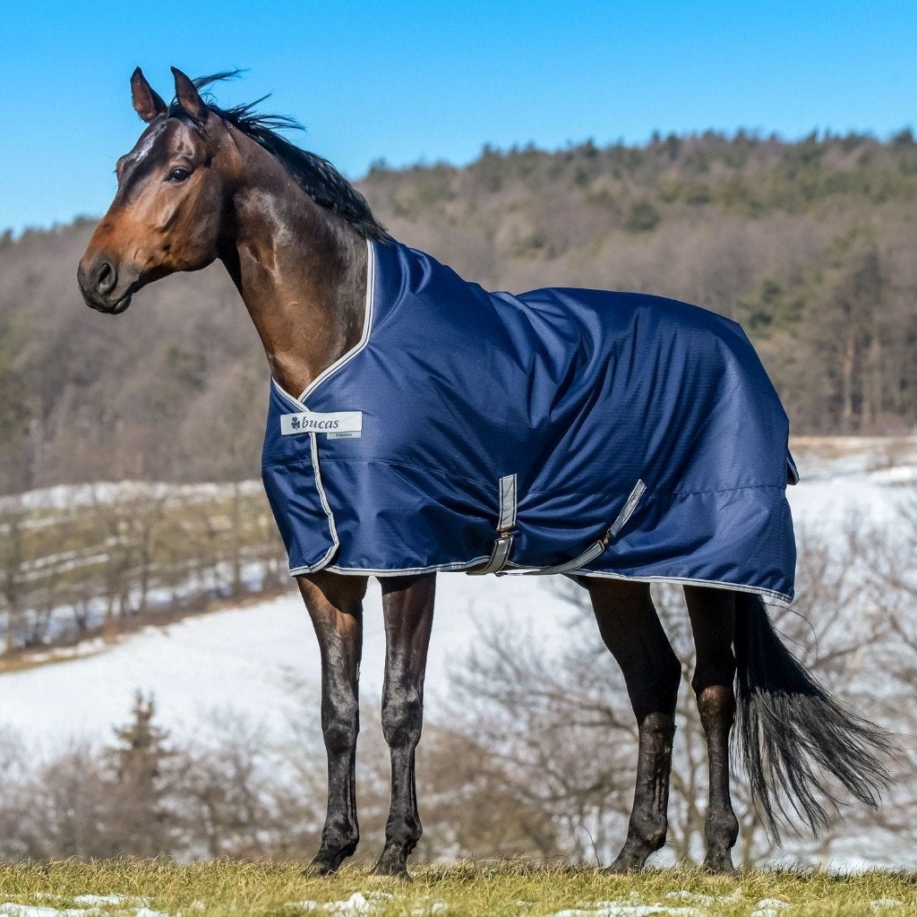 Bucas Freedom Turnout High Neck 168, 175, 183, 191, 198, 206, Bucas, Nieuw, Ophalen of Verzenden, Anatomisch gevormd
