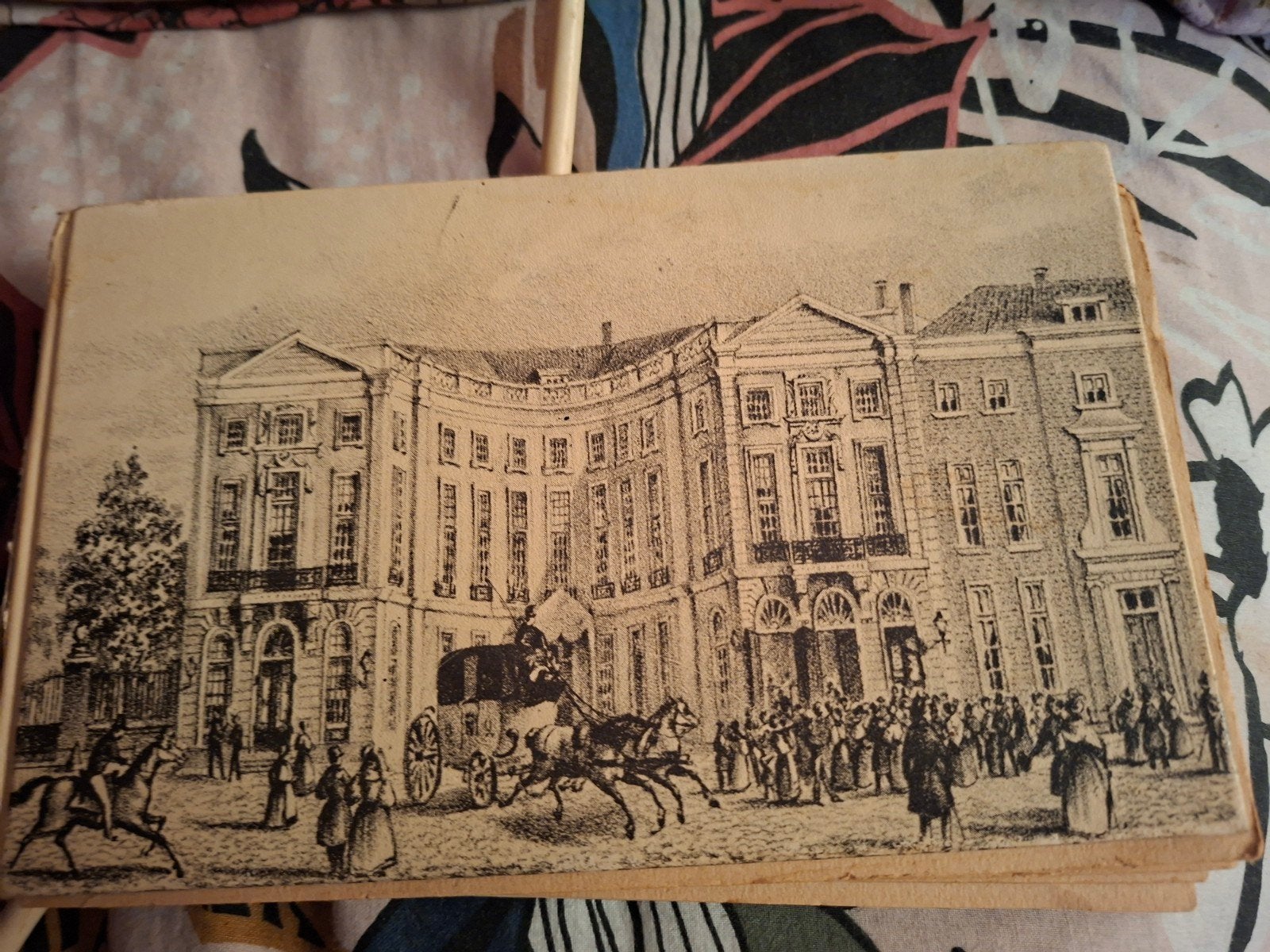 Panorama van de Noordelijke Provinciën der Nederlanden, Boeken, Ophalen, 19e eeuw, Gelezen, Onbekend