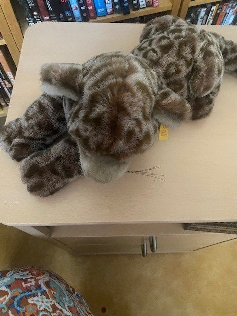 Steiff panter, Ophalen