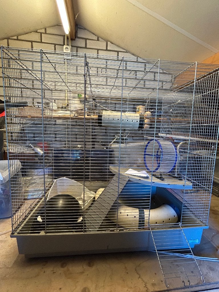 ferplast hamsterkooi, Ophalen, Kooi, Gebruikt, 60 tot 90 cm