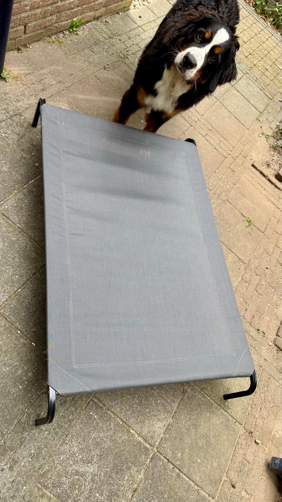 JAXY Hondenbed - Hondenstretcher Binnen & Buiten, Dieren en Toebehoren, Ophalen