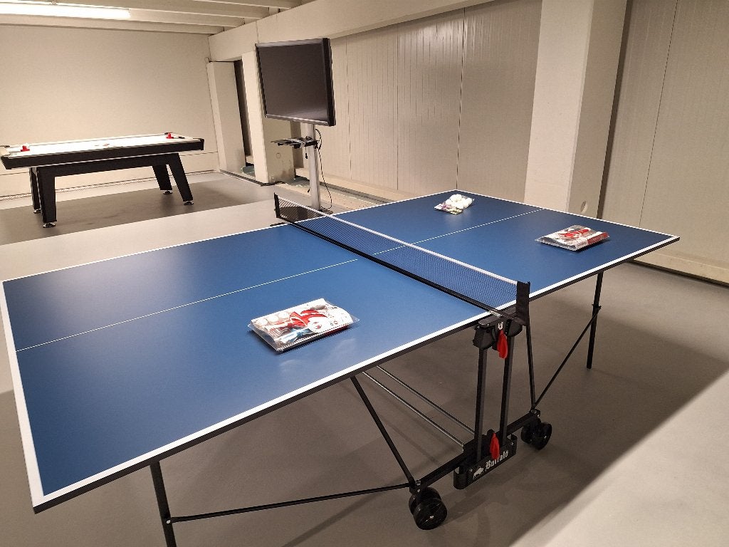 Tafeltennistafel - Indoor tennistafel - Speeltafel - Tennis, Kouwehoek 1b, Meerkleurig, Verzenden, Overige stijlen
