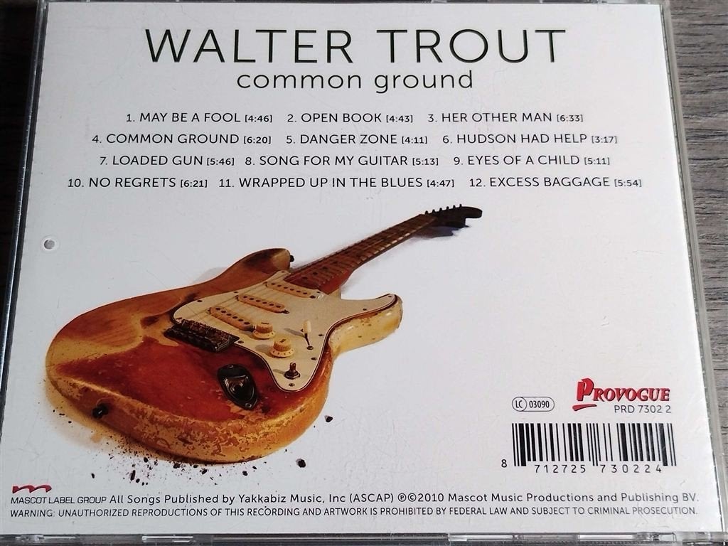 Walter Trout ‎– Common Ground, Ophalen of Verzenden, Zo goed als nieuw, Jazz