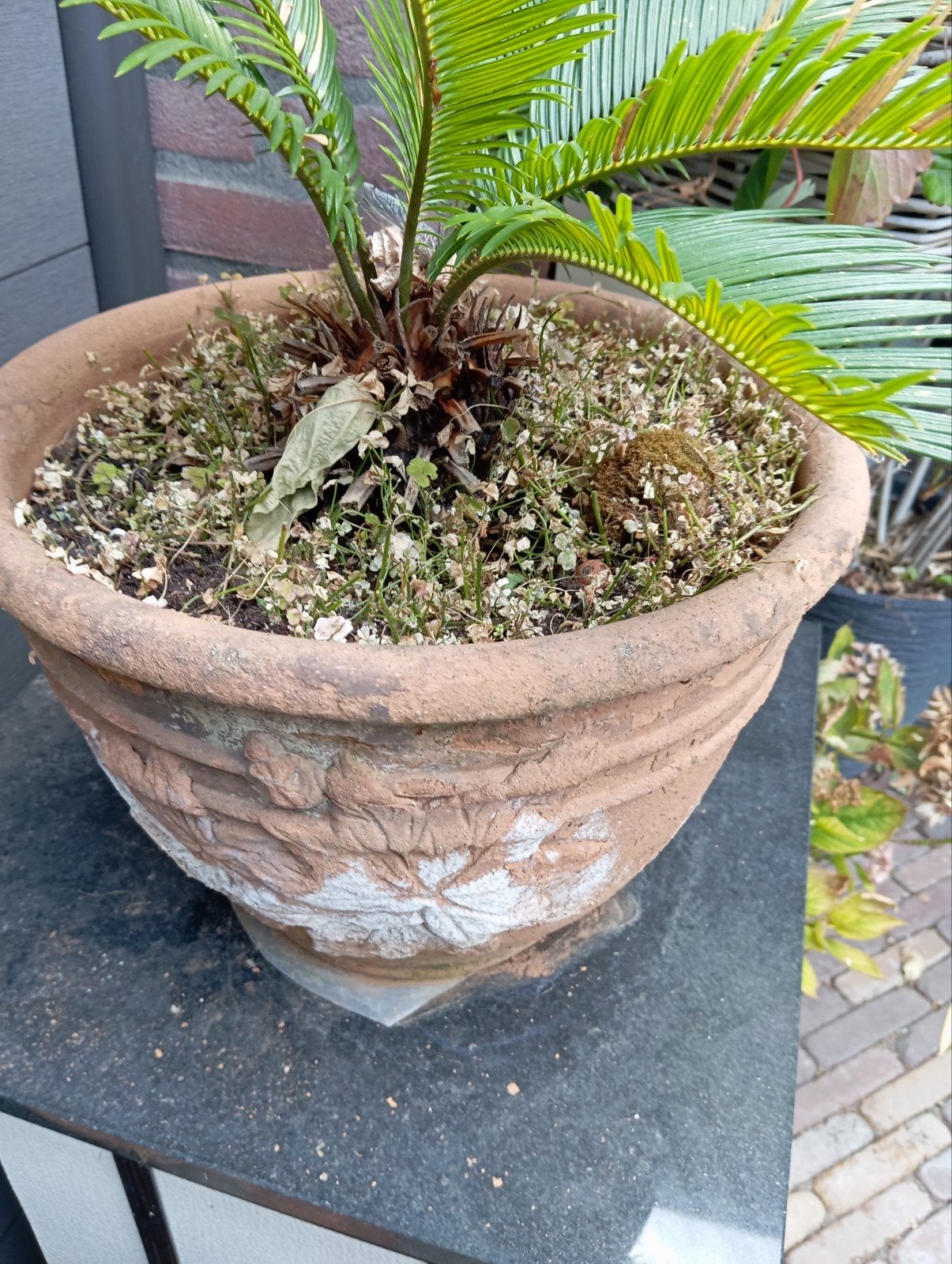mooie nostalgische pot met Palm, Tuin en Terras, Steen, Rond, Ophalen of Verzenden, Zo goed als nieuw