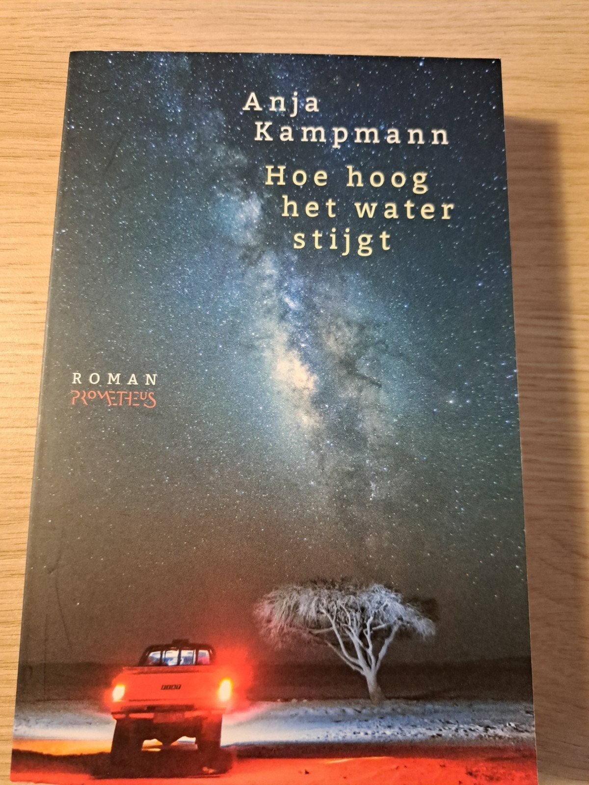 Hoe hoog het water stijgt - Anja Kampmann Roman, Ophalen of Verzenden, Zo goed als nieuw, Anja Kampmann, Nederland