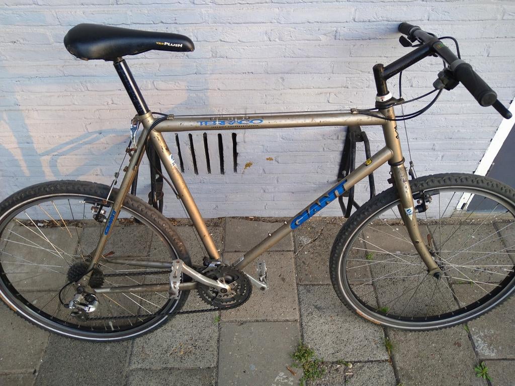 Giant oldtimer, Gebruikt, Meer dan 20 versnellingen, 65 cm of meer, Giant