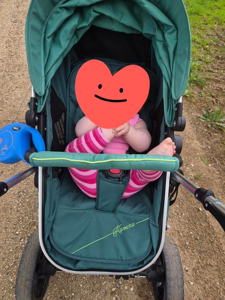 Chipolino Havana kinderwagen - Klaar voor tweede rondje!, Ophalen of Verzenden, Gebruikt, Kinderwagen, Overige merken