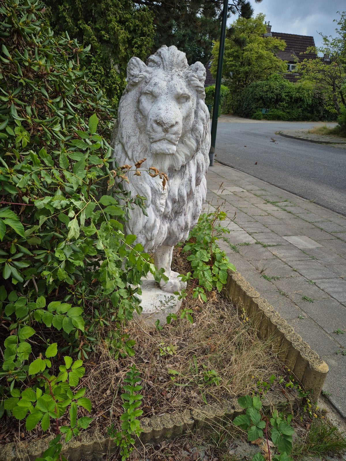 Beeld Leeuw, Tuin en Terras, Ophalen, Zo goed als nieuw, Beton, Dierenbeeld