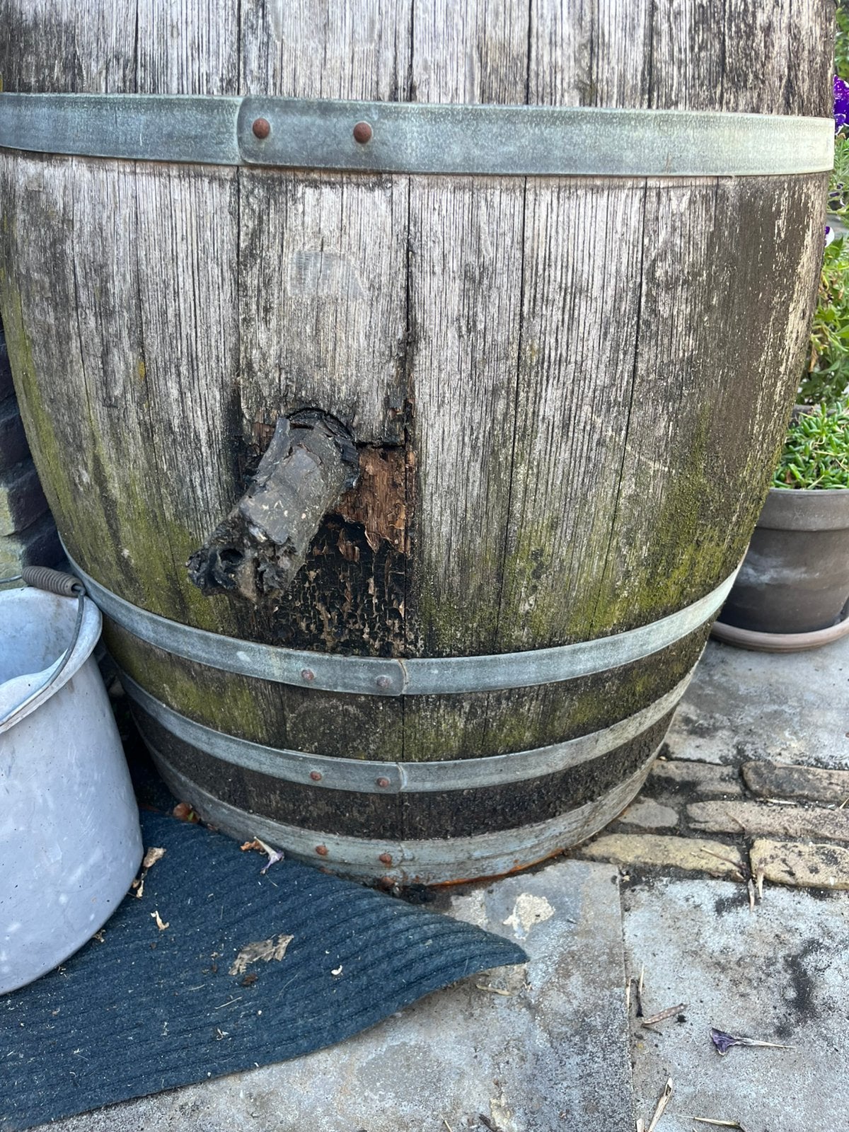 Regenton / bliembak, Tuin en Terras, Regentonnen, 150 liter of meer, Ophalen of Verzenden, Zo goed als nieuw