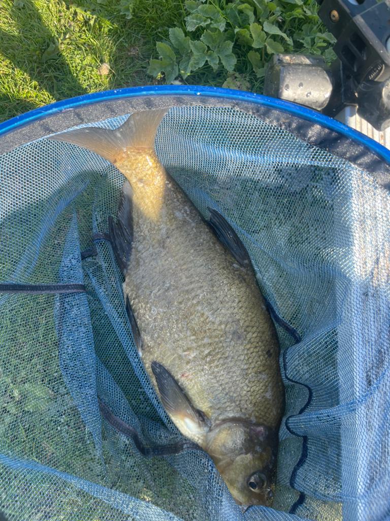 SHIMANO SIENNA 2500 RD, Ophalen, Zo goed als nieuw, Molen