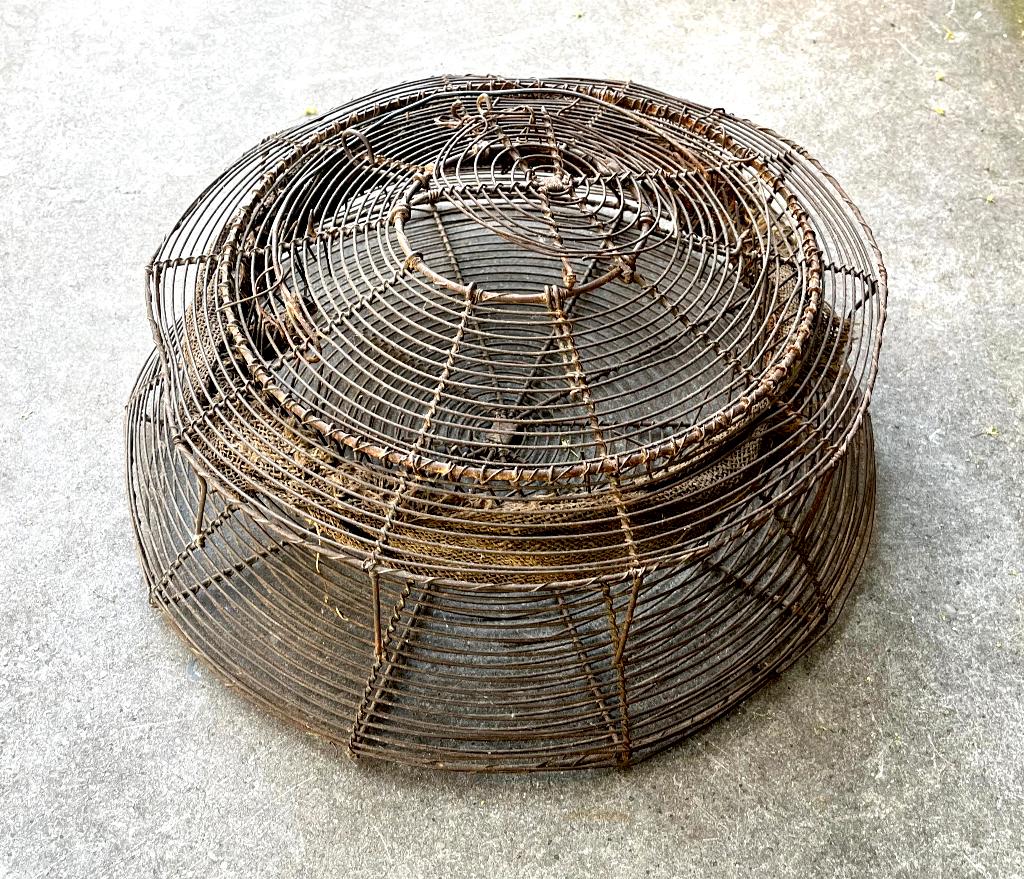 Antique Fish Trap Visvangst Visserij Visfuik, Ophalen of Verzenden
