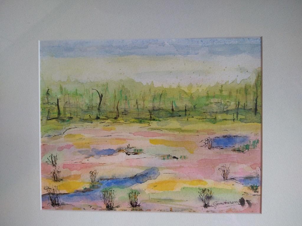 Aquarel inkt landschap ingelijst gesigneerd, Ophalen of Verzenden, Overige typen, Aquarel, Handgemaakt