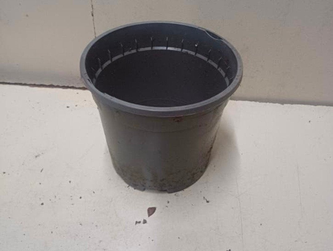 Kweekpotten plantenpotten bloempotten 17 cm, Tuin en Terras, Bloempotten, Kunststof, Gebruikt, Rond, Ophalen of Verzenden