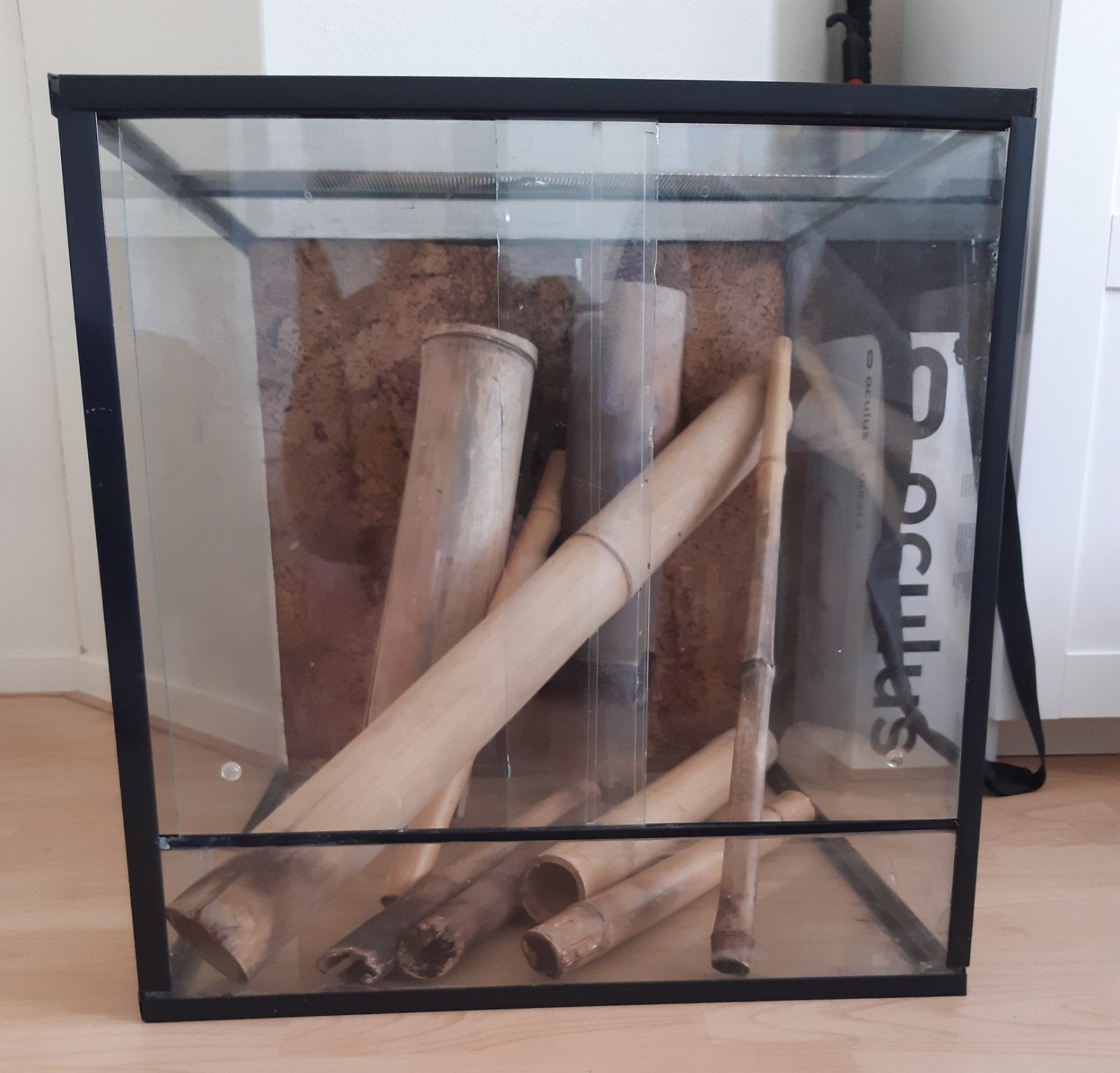 Terrarium te koop 50x50x50, Dieren en Toebehoren, Reptielen en Amfibieën | Toebehoren, Ophalen